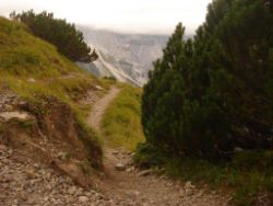 2013-09-08_6Falkenh-Steinfalk (294).JPG